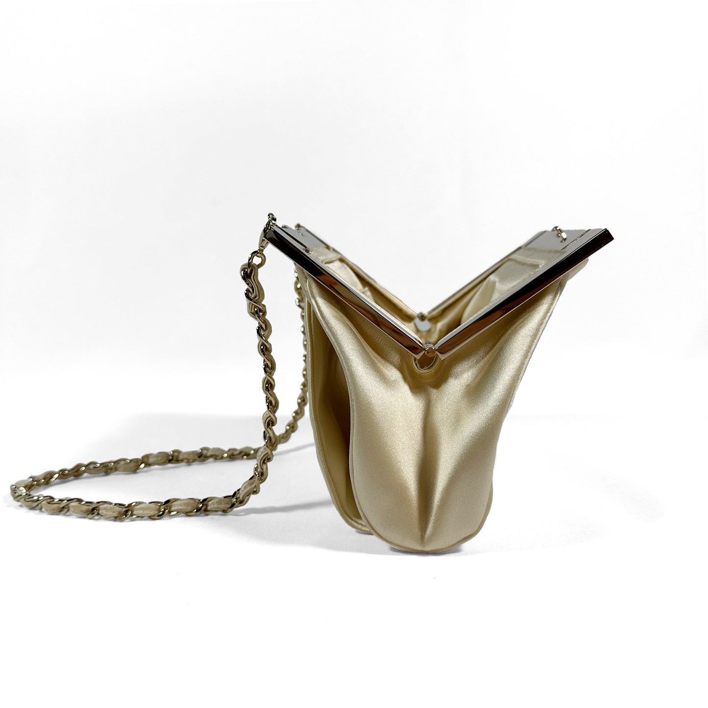 Christian Dior Evening Bag